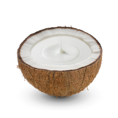 Organic Coconut Cream 24% UHT BIB 20L